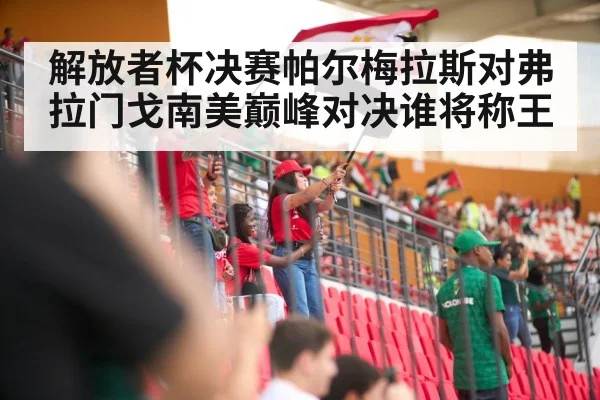 解放者杯决赛帕尔梅拉斯对弗拉门戈南美巅峰对决谁将称王